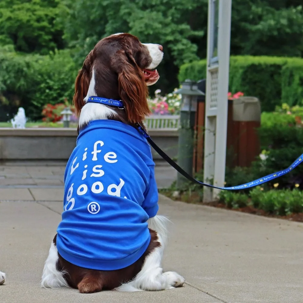 Life is Good Rocket Dog Leash- Royal Blue
